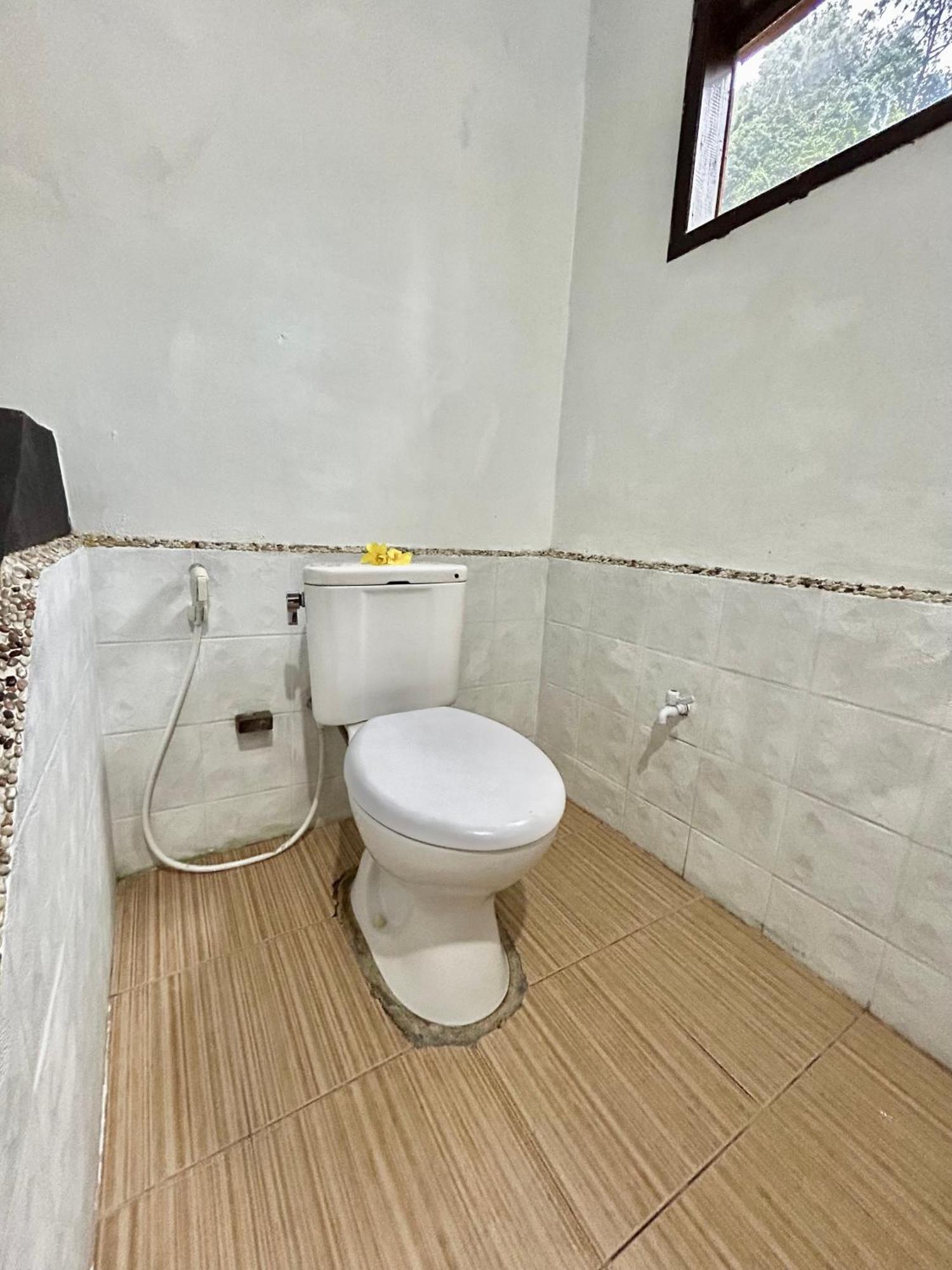Aussie Inn Bukit Lawang Exterior photo