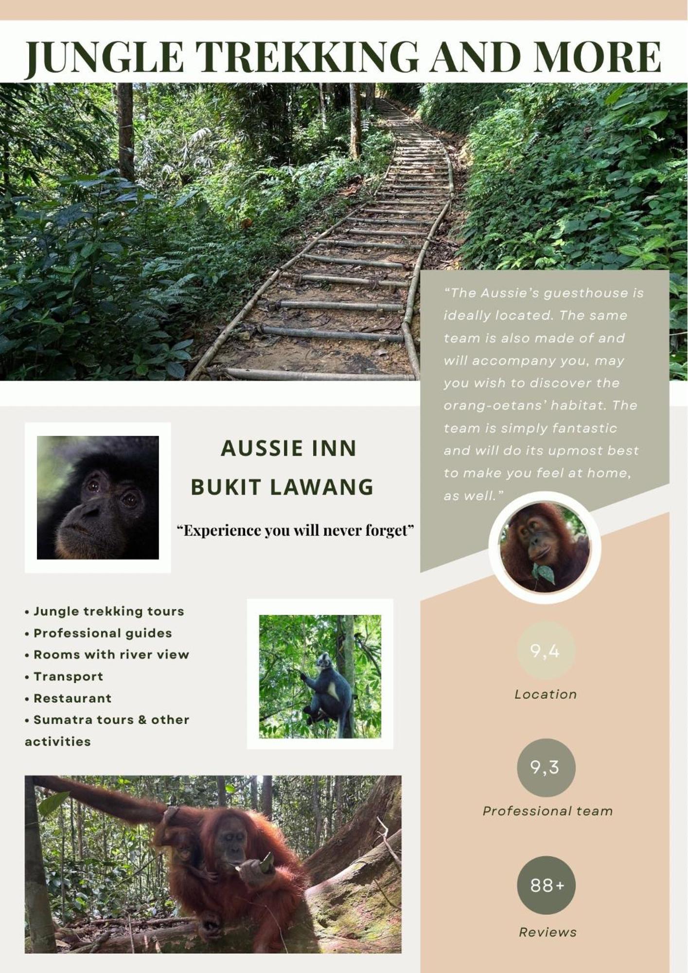 Aussie Inn Bukit Lawang Exterior photo